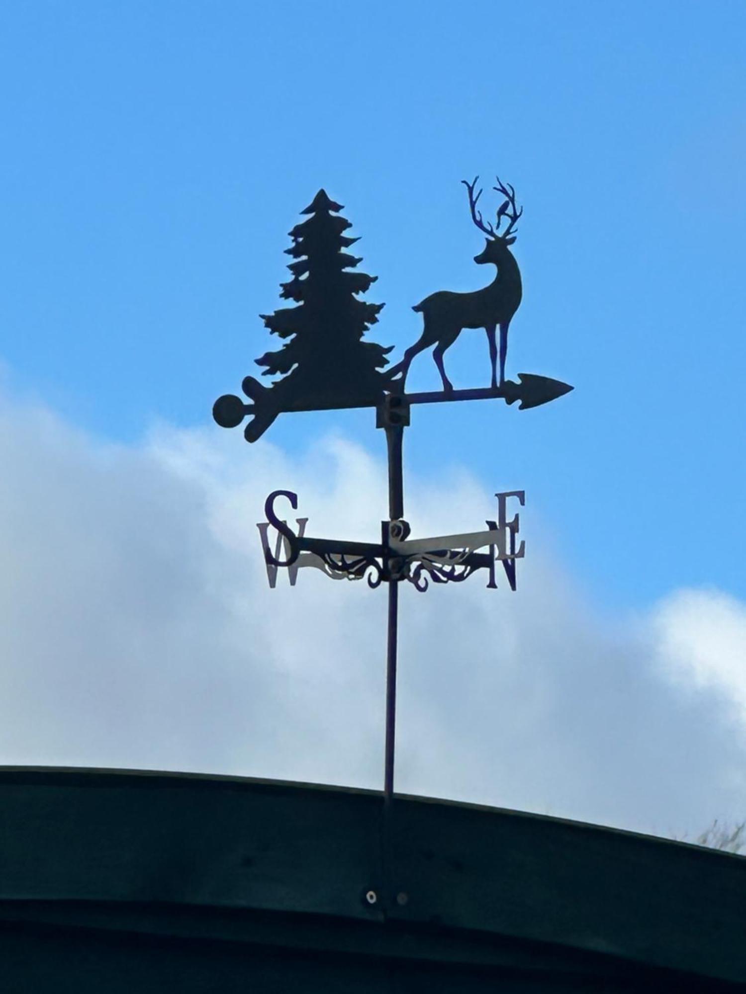 Stags Hide Hotell Minwear Eksteriør bilde